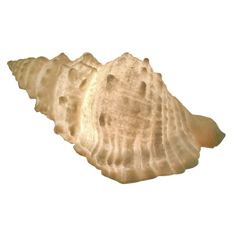 Giant Off-White Decorative Horned Conch Shell Accent Lamp 17 in.